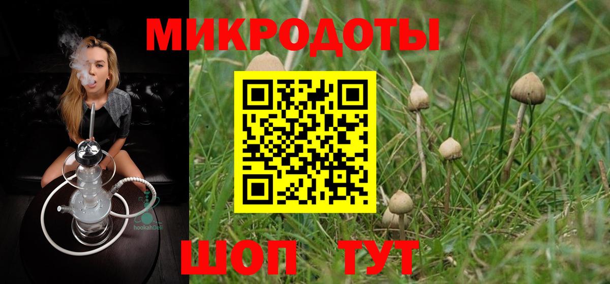 Галлюциногенные грибы GOLDEN TEACHER Алексеевка